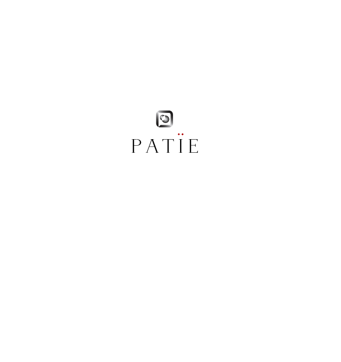 パティエを構成する9つの要素